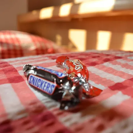 Schmidt, 95131 Rhauderfehn